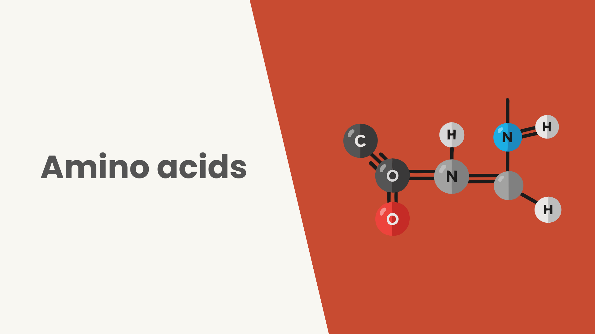 Lesson Amino acids